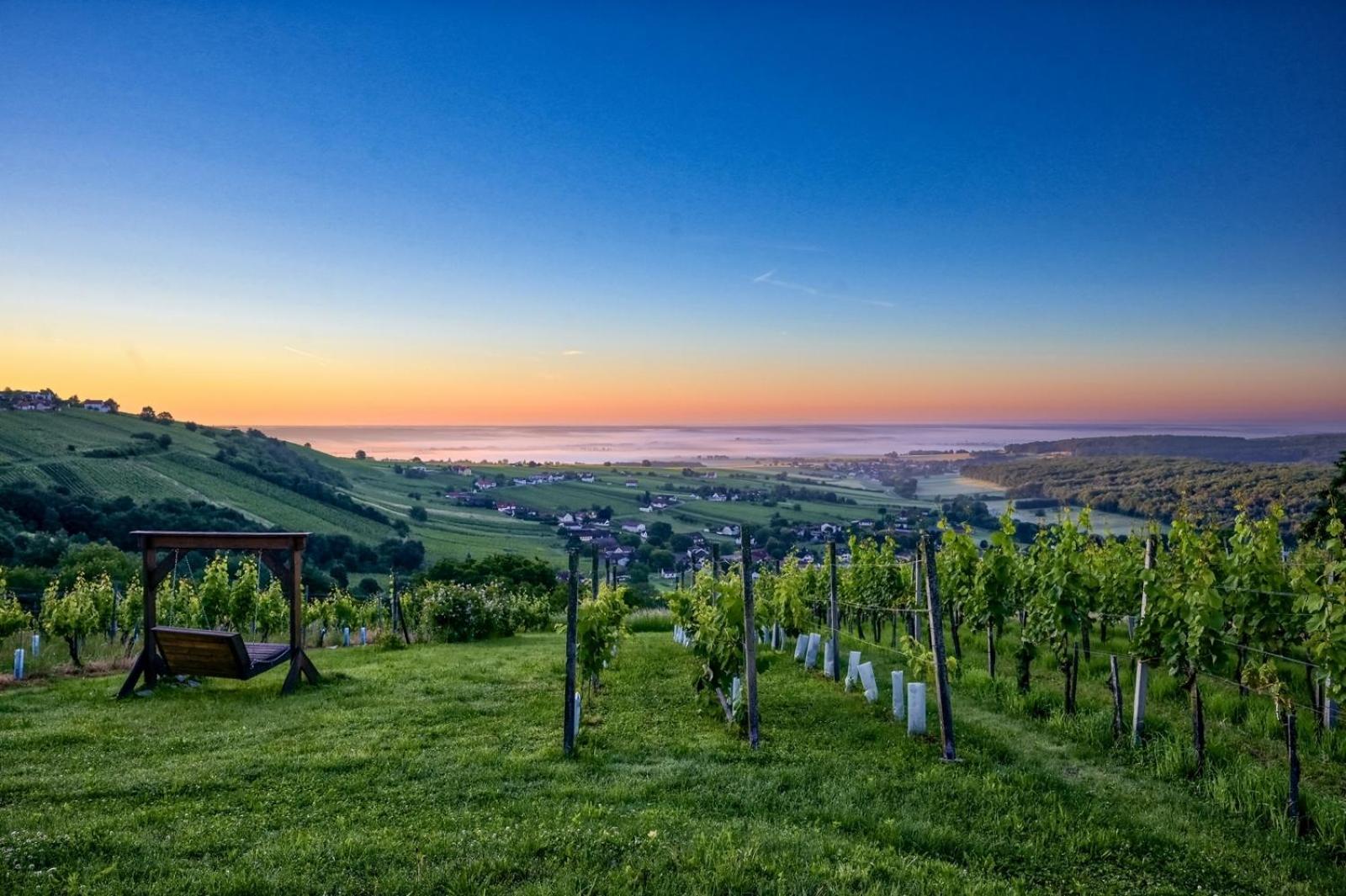 Vila Kellerstoeckl Am Berg Eisenberg an der Pinka Exteriér fotografie