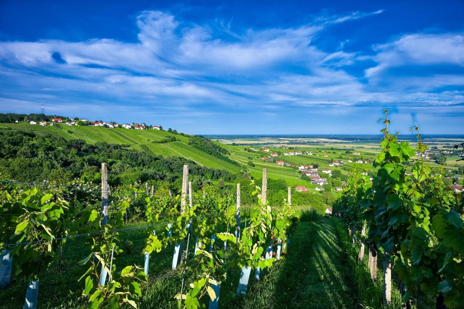 Vila Kellerstoeckl Am Berg Eisenberg an der Pinka Exteriér fotografie